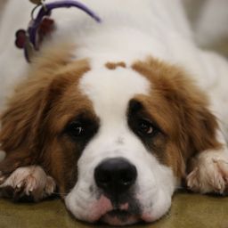 photograph by PeterW